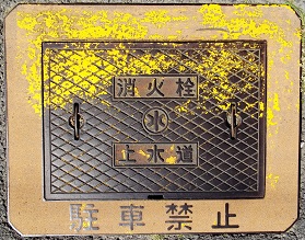 ���������ΐ�