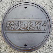 �C�c���h�ΐ���