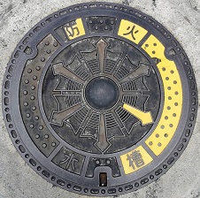 �C�c���h�ΐ���