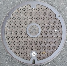 ���Ɍ������a