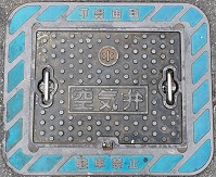 �͓�����C��