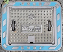 �͓�����C��