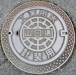 �R�����H�Ɨp���v���p