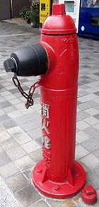 �L���s���̏��ΐ�