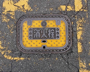 �R���s���ΐ�