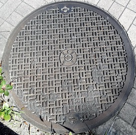 ���{�����a