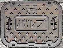 �����K�X�o���u