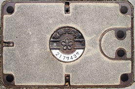 �������d�������a