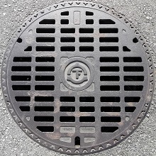 �F���s�}���z�[��