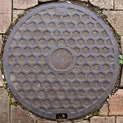 �F���s�}���z�[��