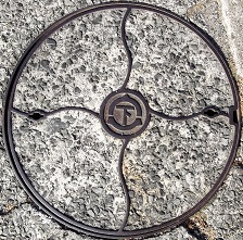 �F���s�}���z�[��