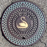 �F���s�\�t�g��