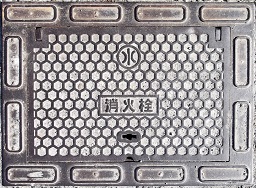 �F���s���ΐ�