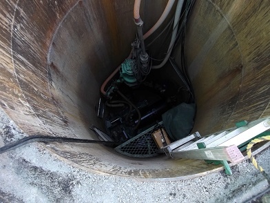 �F���s�}���z�[��