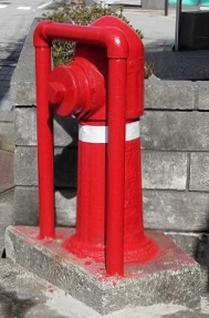 ���������̏��ΐ�