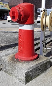 ���������̏��ΐ�