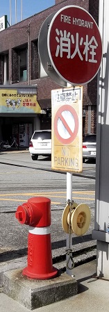 ���������̏��ΐ�