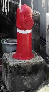 ���������̏��ΐ�