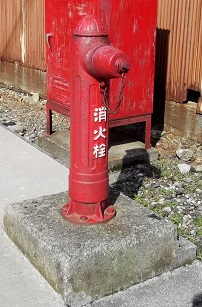 ���������̏��ΐ�