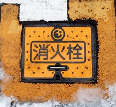 �i���������ΐ�