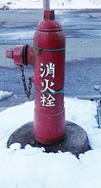 ���������̏��ΐ�