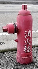 ����s���̏��ΐ�