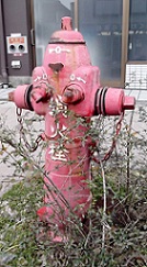 ����s���̏��ΐ�