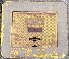 ���Ò����ΐ�