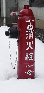 ���R�s���̏��ΐ�