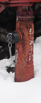 ���R�s���̏��ΐ�