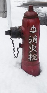 ���R�s���̏��ΐ�