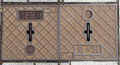 �ۉ����ʐ���