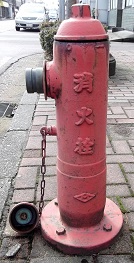 �ۉ������̏��ΐ�