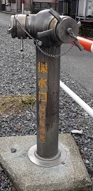 �ۉ������̏��ΐ�