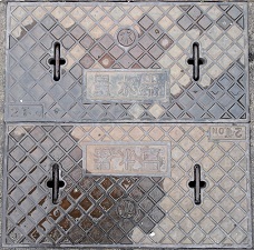 �������ʐ���