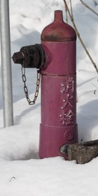 ��𒬗��̏��ΐ�