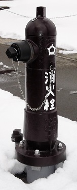 ���s���̏��ΐ�