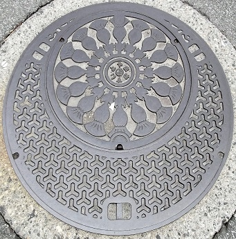 �x�R�s�}���z�[��