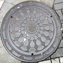 �x�R�s�}���z�[��