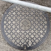 �x�R�s�O���}���z�[��