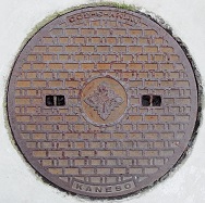 �x�R�s�}���z�[��