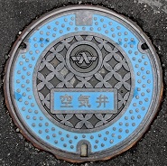 �Ô�����C��