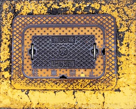 �Ô������ΐ�