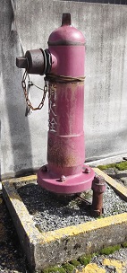 �ߗ������̏��ΐ�