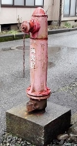 �ߗ������̏��ΐ�