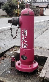 �ߗ������̏��ΐ�