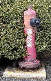 �ߗ������̏��ΐ�