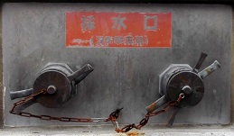 �V�����̐���