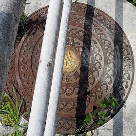 ��ƋǓD�f��