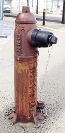 ��a��s���̏��ΐ�